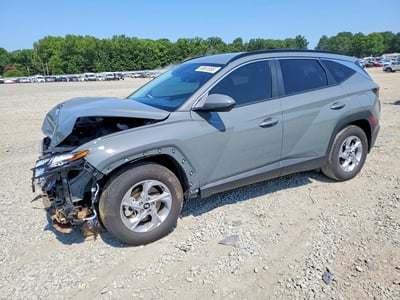 5NMJB3DE5RH****** 2024 Hyundai Tucson