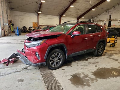 JTMD6RFV4PD****** 2023 Toyota RAV4 Hybrid