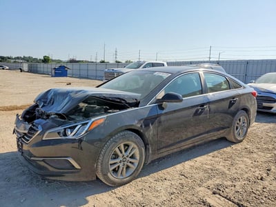 5NPE24AF2GH****** 2016 Hyundai Sonata