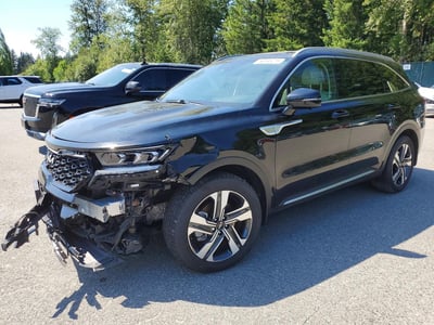 KNDRMDLG7P5****** 2023 Kia Sorento Hybrid