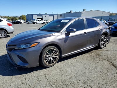 2019 Toyota Camry