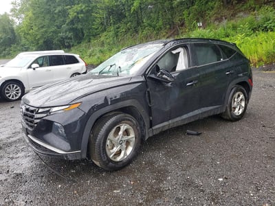 5NMJBCAE0NH****** 2022 Hyundai Tucson