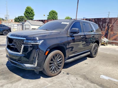 2023 Cadillac Escalade