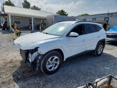 5NMJB3DE0RH****** 2024 Hyundai Tucson
