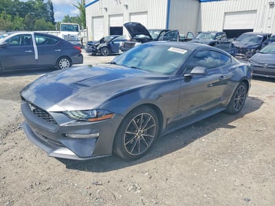 1FA6P8TH1K5****** 2019 Ford Mustang