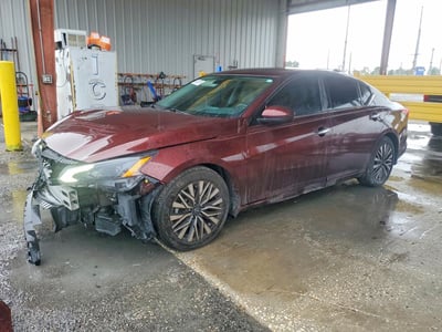 1N4BL4DV6PN****** 2023 Nissan Altima