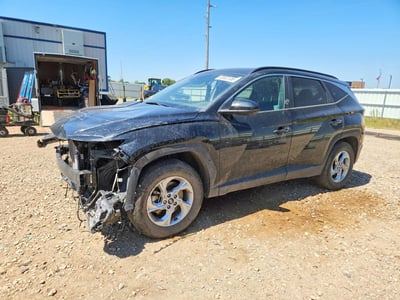 5NMJBCDEXRH****** 2024 Hyundai Tucson