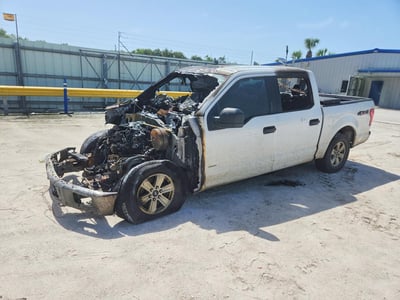 1FTEW1EG0HF****** 2017 Ford F-150