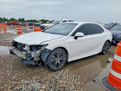4T1G11AK8LU****** 2020 Toyota Camry