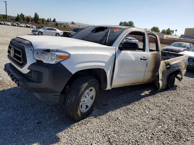 3TYRX5GNXPT****** 2023 Toyota Tacoma