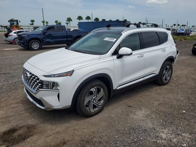 5NMS34AJ6PH****** 2023 Hyundai Santa Fe