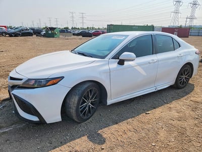 4T1G11AK6PU****** 2023 Toyota Camry