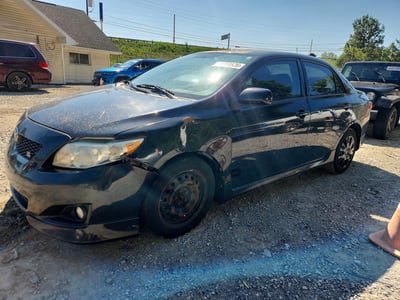 1NXBU40E79Z****** 2009 Toyota Corolla