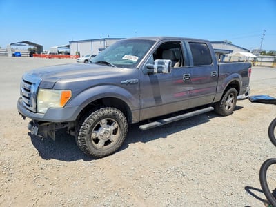 1FTEW1C80AF****** 2010 Ford F-150