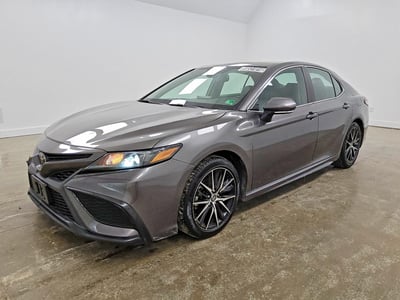 4T1S11AK2PU****** 2023 Toyota Camry