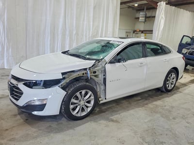 1G1ZD5ST3KF****** 2019 Chevrolet Malibu