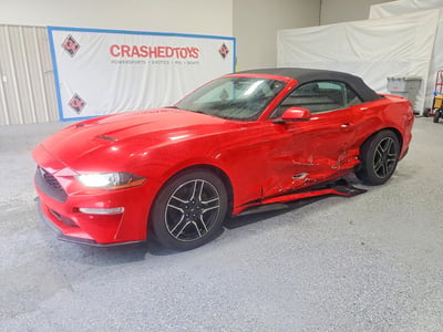 1FATP8UHXK5****** 2019 Ford Mustang