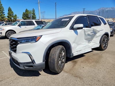 2024 Honda Pilot