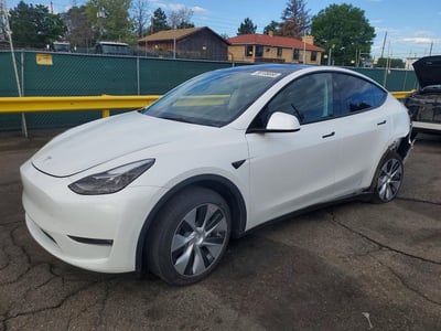 7SAYGDEE5PF****** 2023 Tesla Model Y