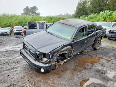 5TELU42N16Z****** 2006 Toyota Tacoma