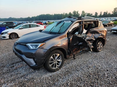 JTMRJREV6JD****** 2018 Toyota RAV4