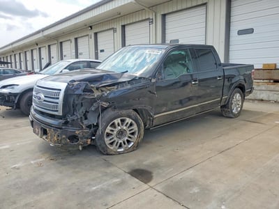 1FTFW1EV0AF****** 2010 Ford F-150