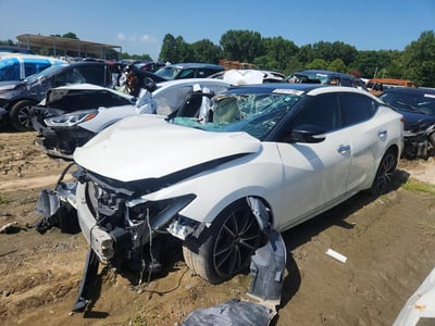 1N4AA6AP4GC****** 2016 Nissan Maxima