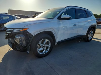 KM8JB3AE6PU****** 2023 Hyundai Tucson