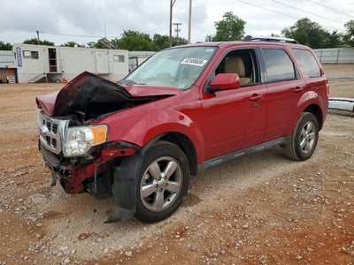 1FMCU0EG7AK****** 2010 Ford Escape
