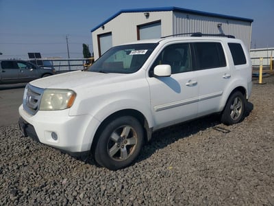 5FNYF48409B****** 2009 Honda Pilot