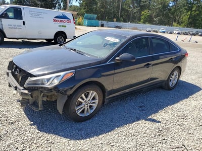 5NPE24AF0GH****** 2016 Hyundai Sonata
