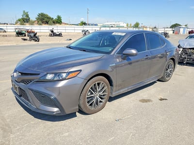 4T1G31AK6MU****** 2021 Toyota Camry