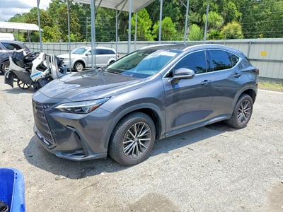 2T2ADCAZ5RC****** 2024 Lexus NX 250