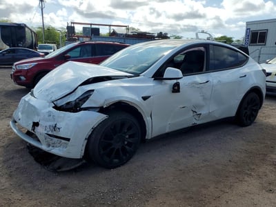 7SAYGDED0RF****** 2024 Tesla Model Y