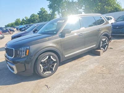 5XYP3DGC4RG****** 2024 Kia Telluride