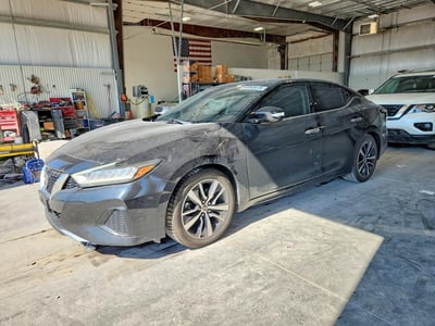 1N4AA6CV4LC****** 2020 Nissan Maxima
