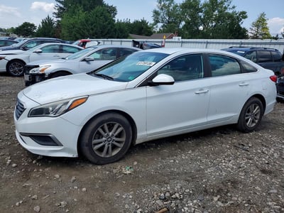5NPE24AF5HH****** 2017 Hyundai Sonata