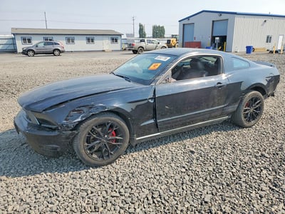 1ZVBP8AN9A5****** 2010 Ford Mustang