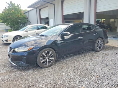 1N4AA6AV2KC****** 2019 Nissan Maxima