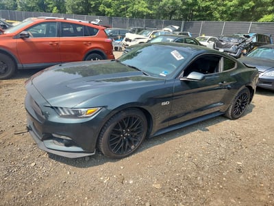 1FA6P8CF6F5****** 2015 Ford Mustang