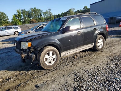 1FMCU0D70CK****** 2012 Ford Escape