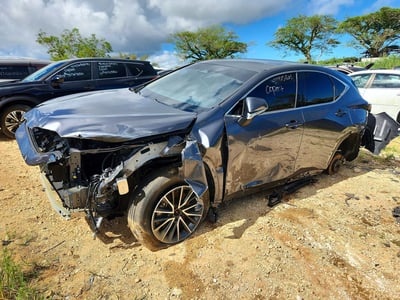 JTJGDCAZ8R2****** 2024 Lexus NX