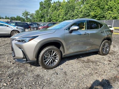 2026 Lexus NX