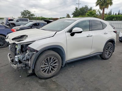 2024 Lexus NX