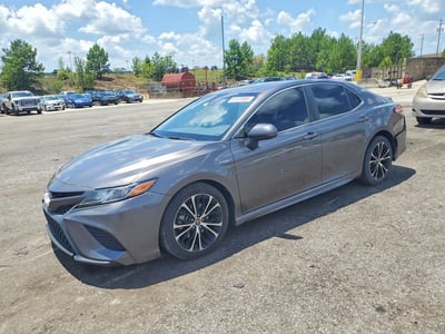 4T1G31AKXLU****** 2020 Toyota Camry