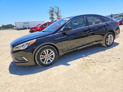 5NPE24AF0GH****** 2016 Hyundai Sonata