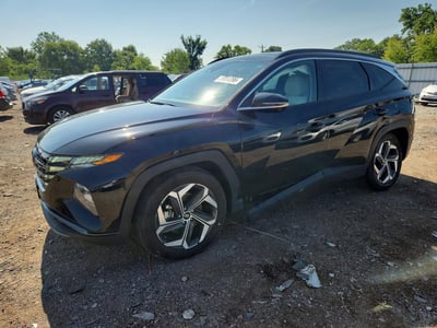 5NMJE3AE4PH****** 2023 Hyundai Tucson