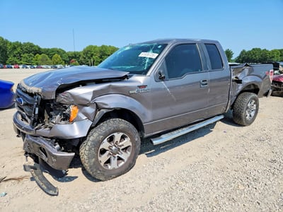 1FTFX1EF1DK****** 2013 Ford F-150