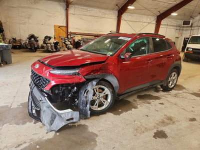 KM8K6CAB5PU****** 2023 Hyundai Kona