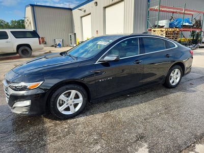 1G1ZD5ST1PF****** 2023 Chevrolet Malibu